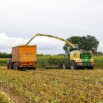 Como investir no agronegócio: LCA, Fiagro, ações e outras portas de entrada